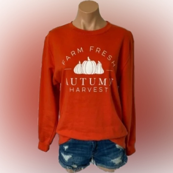 IC Women's Crew Neck
Pullover Long Sleeve Orange
Sweatshirt Size 2X - Picture 1 of 8